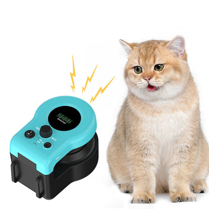Cat Interactive Lure Toy